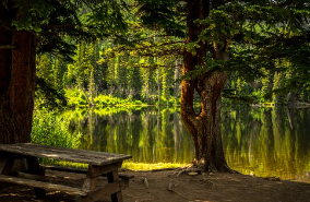 서울벚꽃놀이명소TOP10