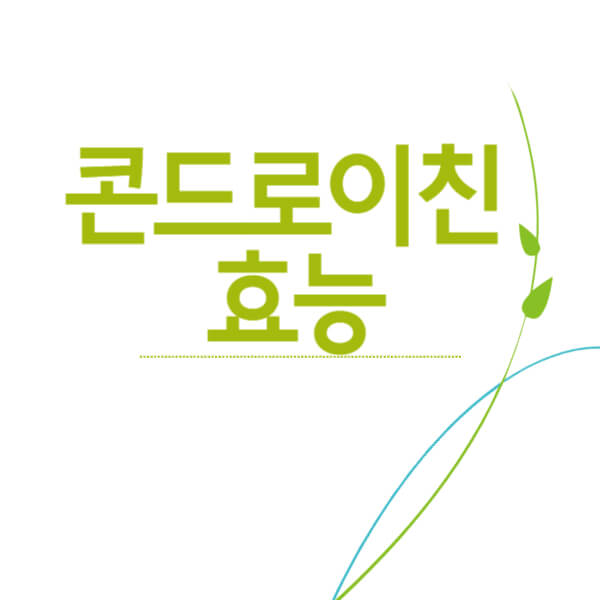 콘드로이친 1200mg 효능, 부작용, 복용법