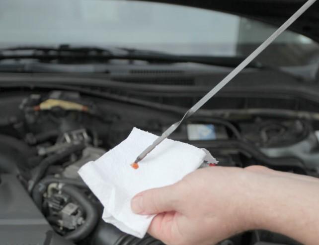 미션오일 교환주기 교체비용