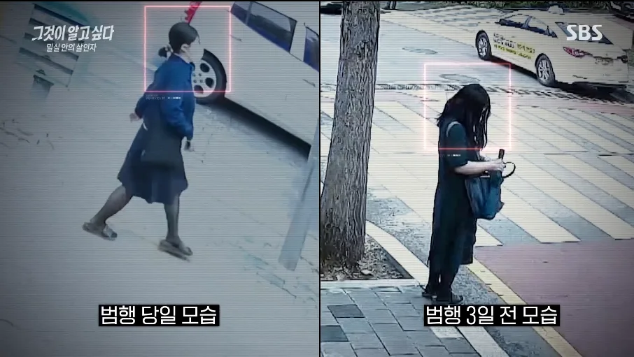 정유정-머리비교