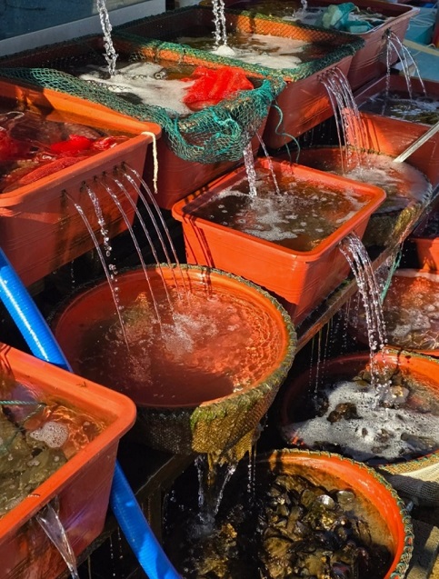 산달도-이선장해물포차