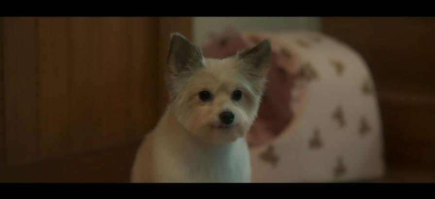 오늘도사랑스럽개_8회