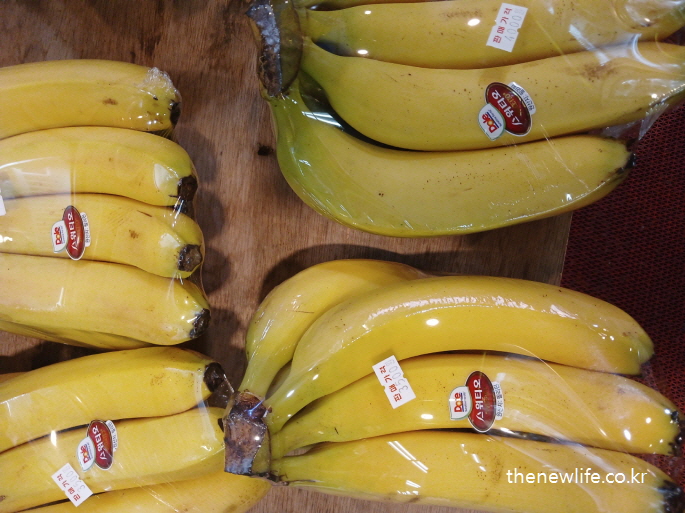 설탕 중독 증상에서 벗어나는 방법으로 설탕 대체 식품 바나나 사진