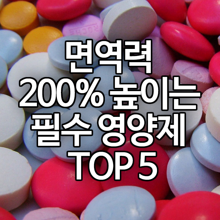 면역력 200% 높이는 필수 영양제 TOP 5