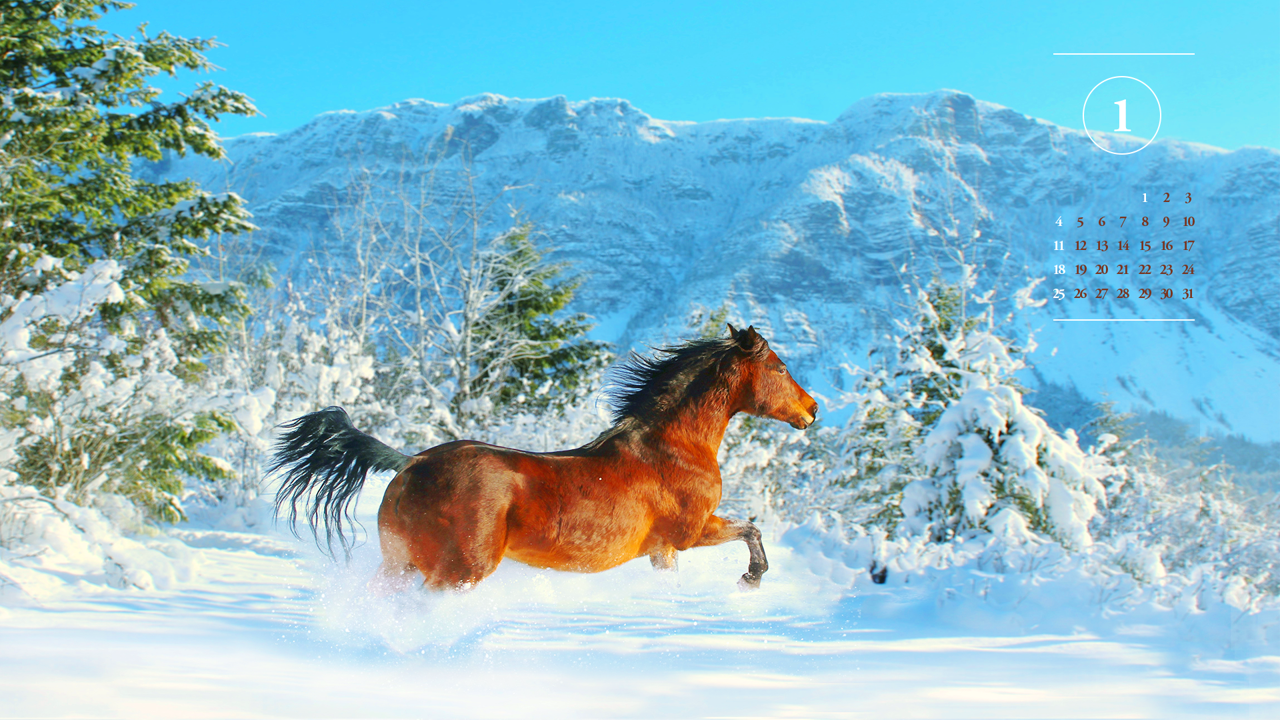 01 눈 위를 달리는 갈색 말 A - 2026년1월 달력배경화면