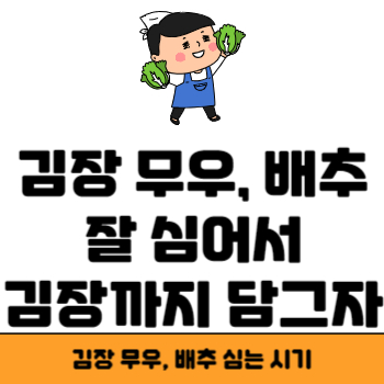 김장 무우,배추 심는 시기 썸네일