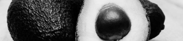 열매 성숙 시기: 11월 ~ 2월