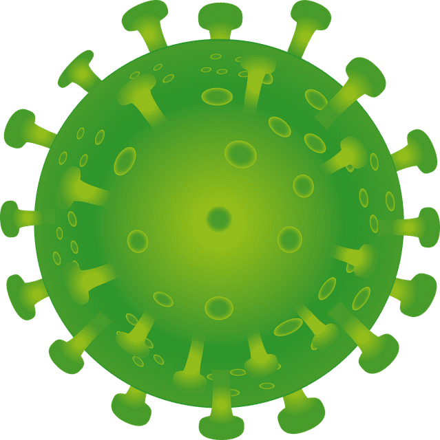 일본전염병 STSS