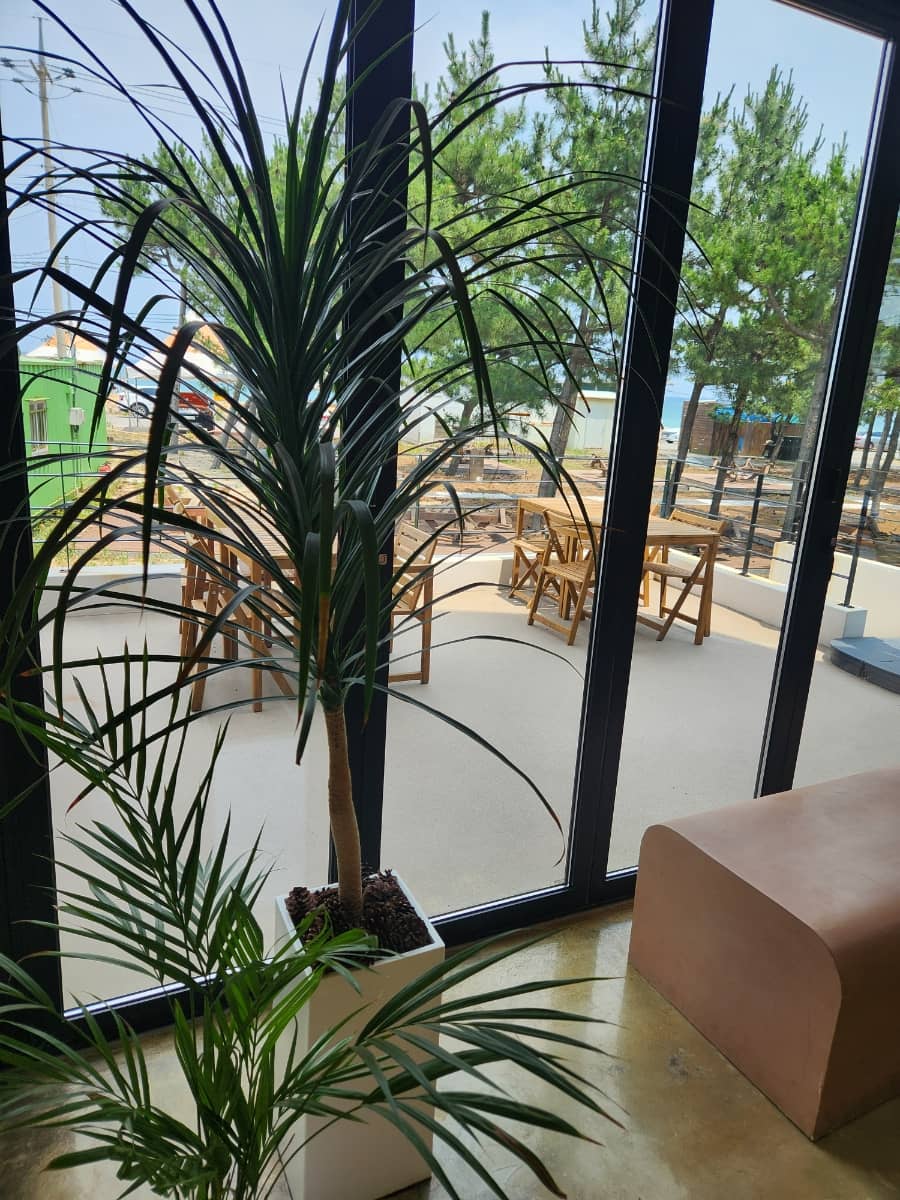 양양 동호해변 & 앤드앤드 양양 카페