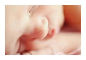 모짜르트 태교음악