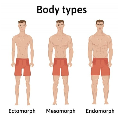 body types