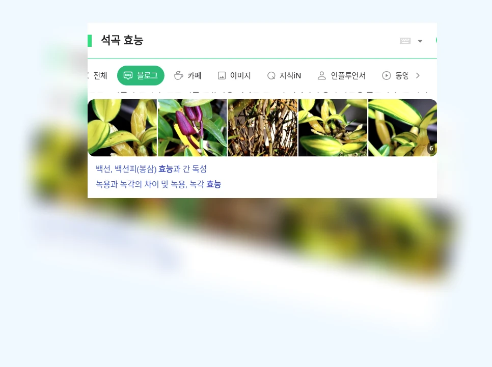 석곡 효능_1_subsection