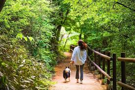 2025 한강버스 노선도 & 예약 방법