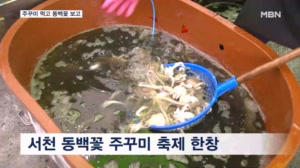 서천 동백쪽 주꾸미 축제 현황—주꾸미 관련 사진