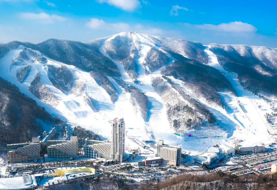 전국 스키장 개장 일정 및 추천 정보