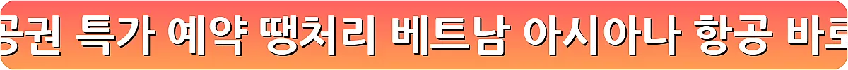 다낭 항공권 특가 예약 땡처리 베트남 아시아나 항공_7