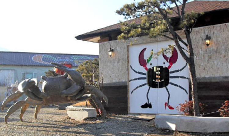 속초 테라크랩팜