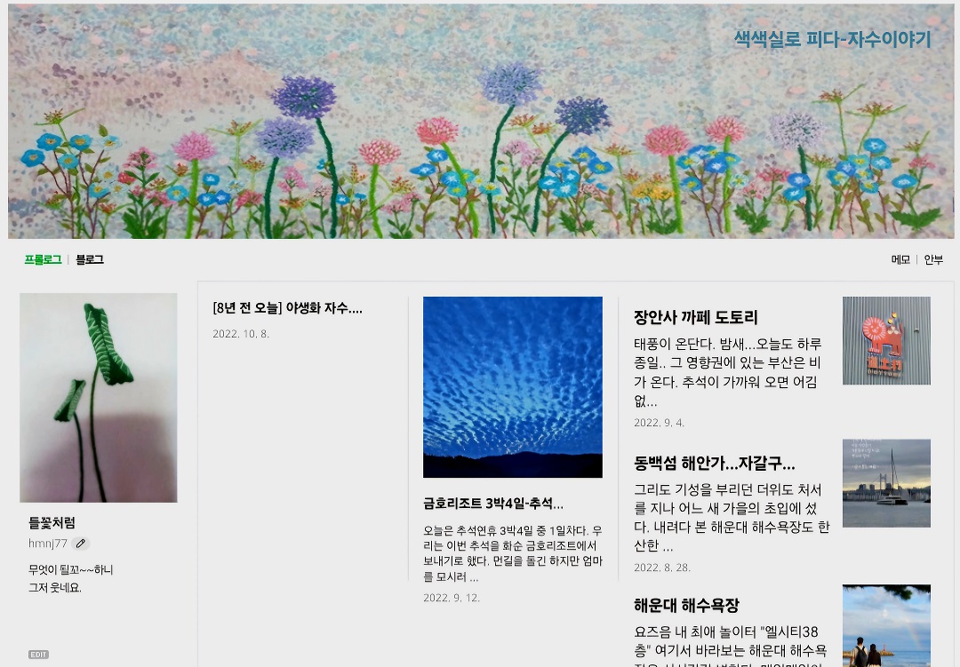 네이버 블로그 캡쳐, 블로그명 색색실로 피다 11년전 만들어진 반휴면블로그