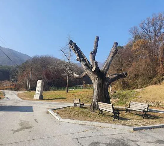 여주고달사지