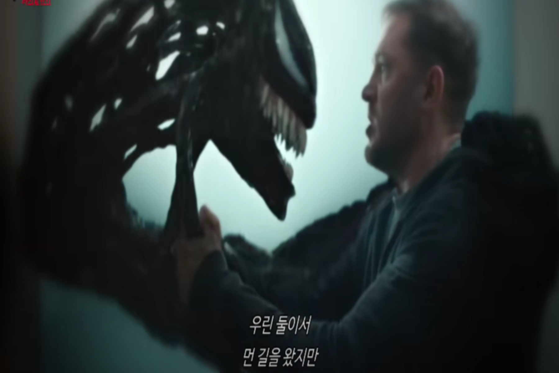 베놈3 라스트 댄스 후기 쿠키 영상 스틸컷6