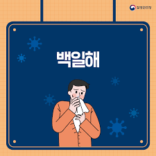 백일해 예방접종 가격 시기 (무료접종 신청)