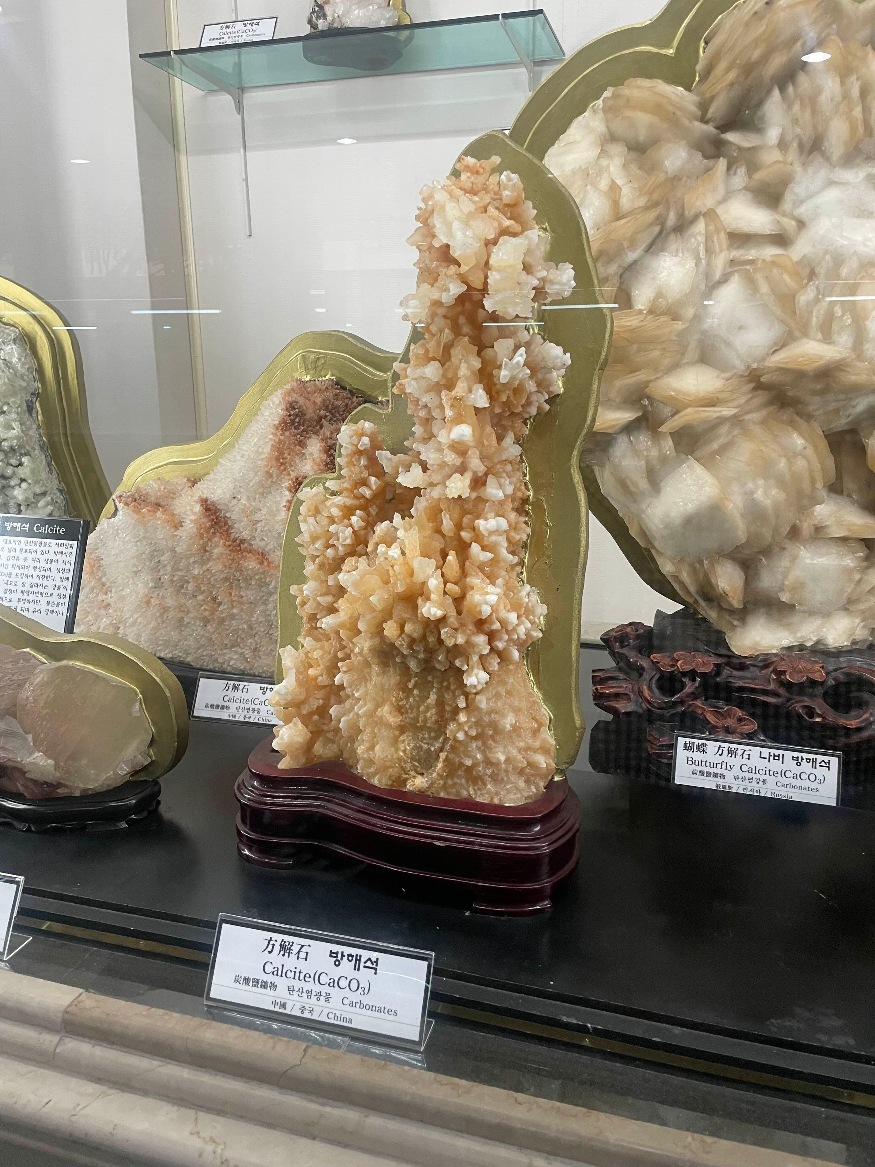 삼척 강원종합박물관