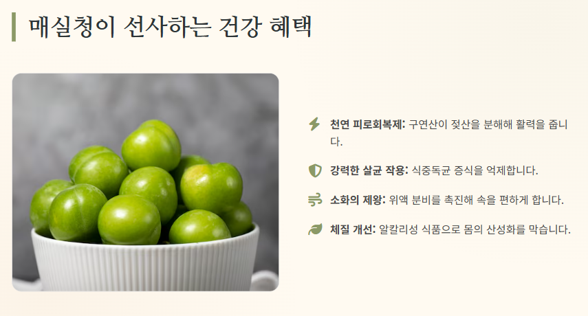 매실청 숙성기간