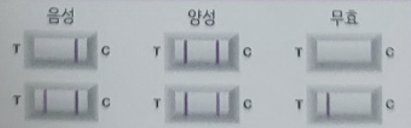 갱년기 증상과 극복 방법 : 남성과 여성을 위한 가이드
