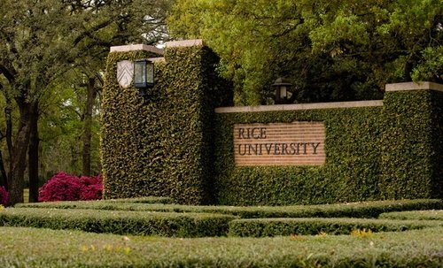 Rice University