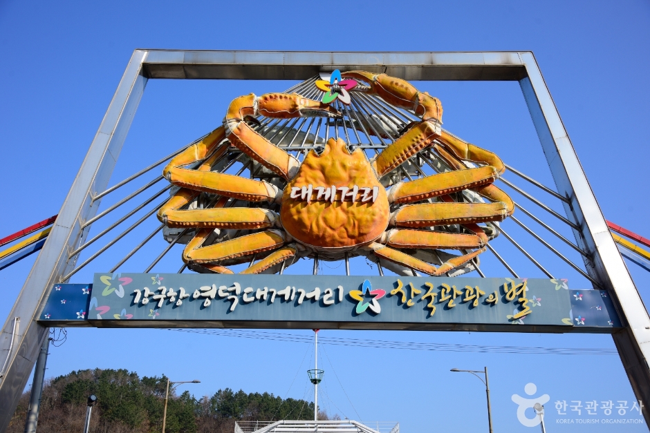 강구항 대게거리