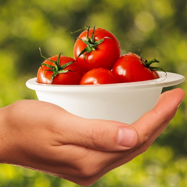 혈액순환에 좋은 음식 사진 24