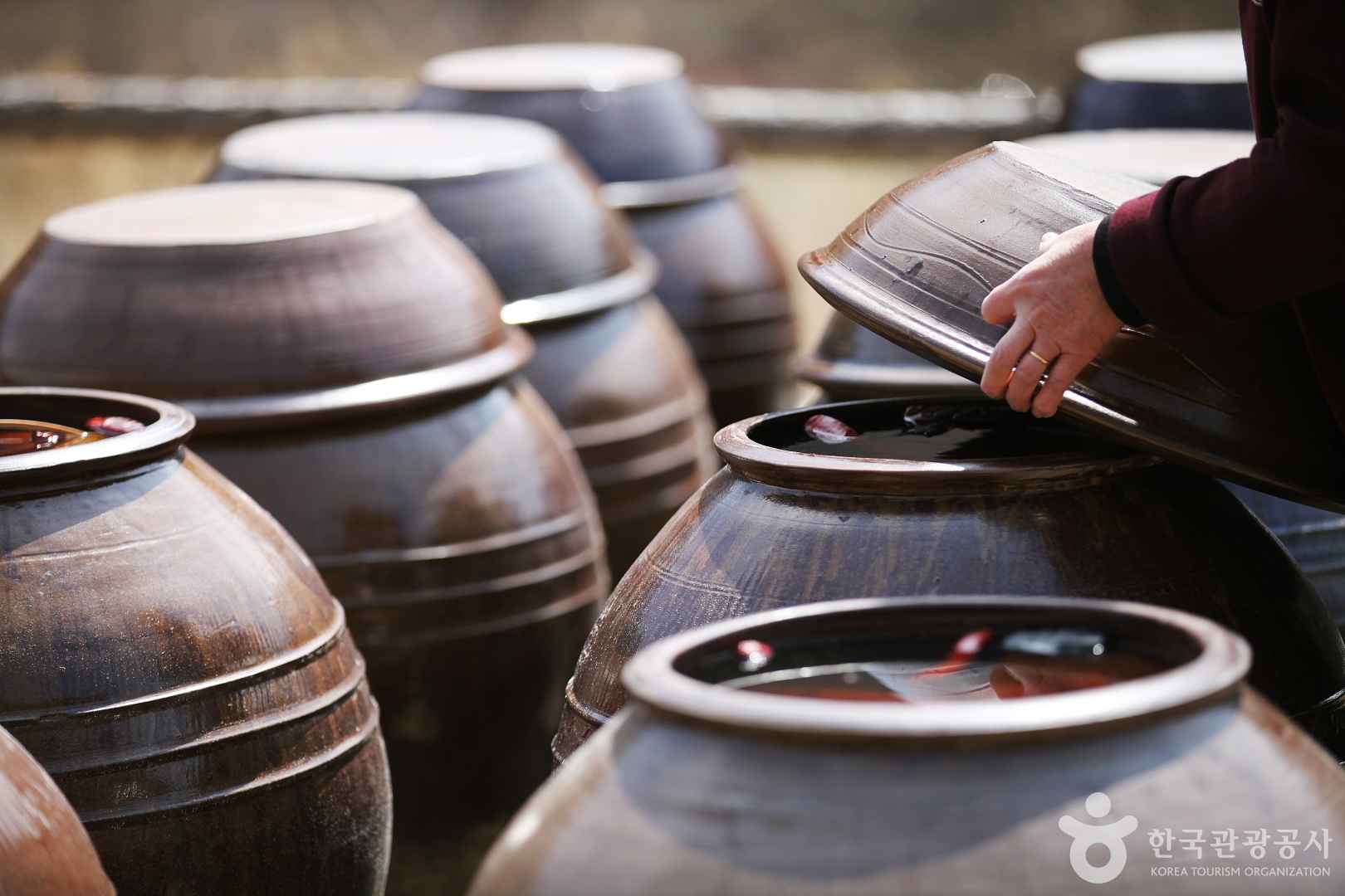 A person opening a traditional Korean onggi jar filled with fermenting food under the sun
