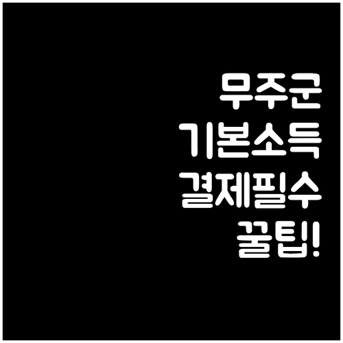 지역 경제 살리는 무주군 기본소득 무..