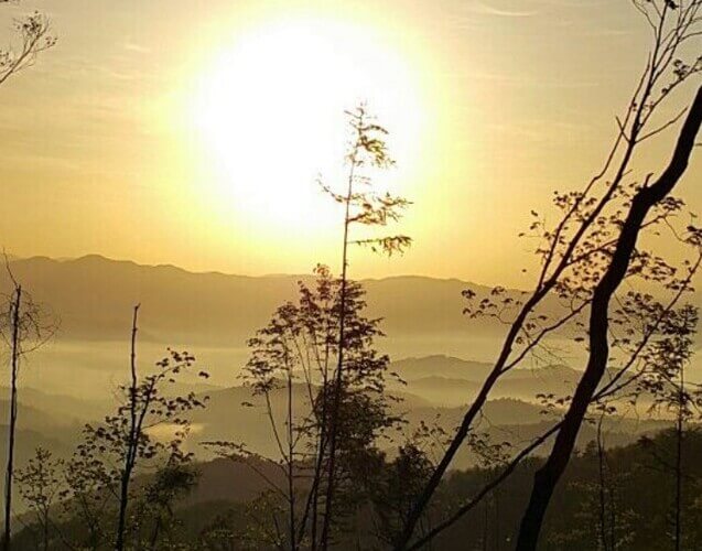 숲나들e 강화 자연휴양림 국내 여행지 추천 관련사진