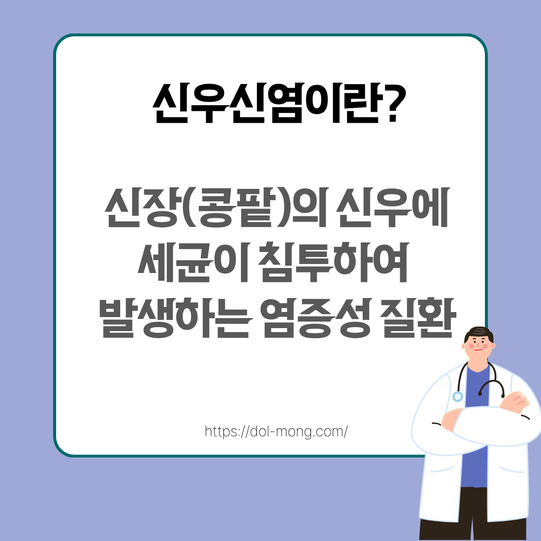 신우신염이란 무엇인가 - 신장(콩팥)의 신우에 세균이 침투하여 발생하는 염증성 질환