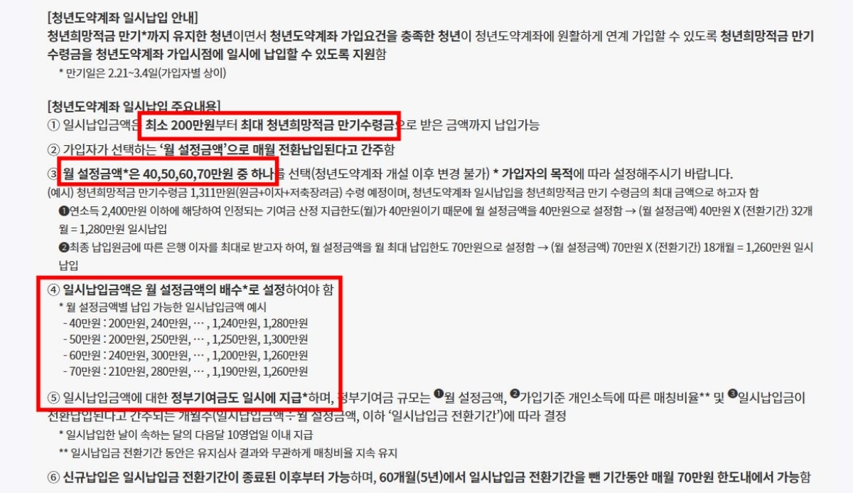 청년도약계좌-일시납입-설명