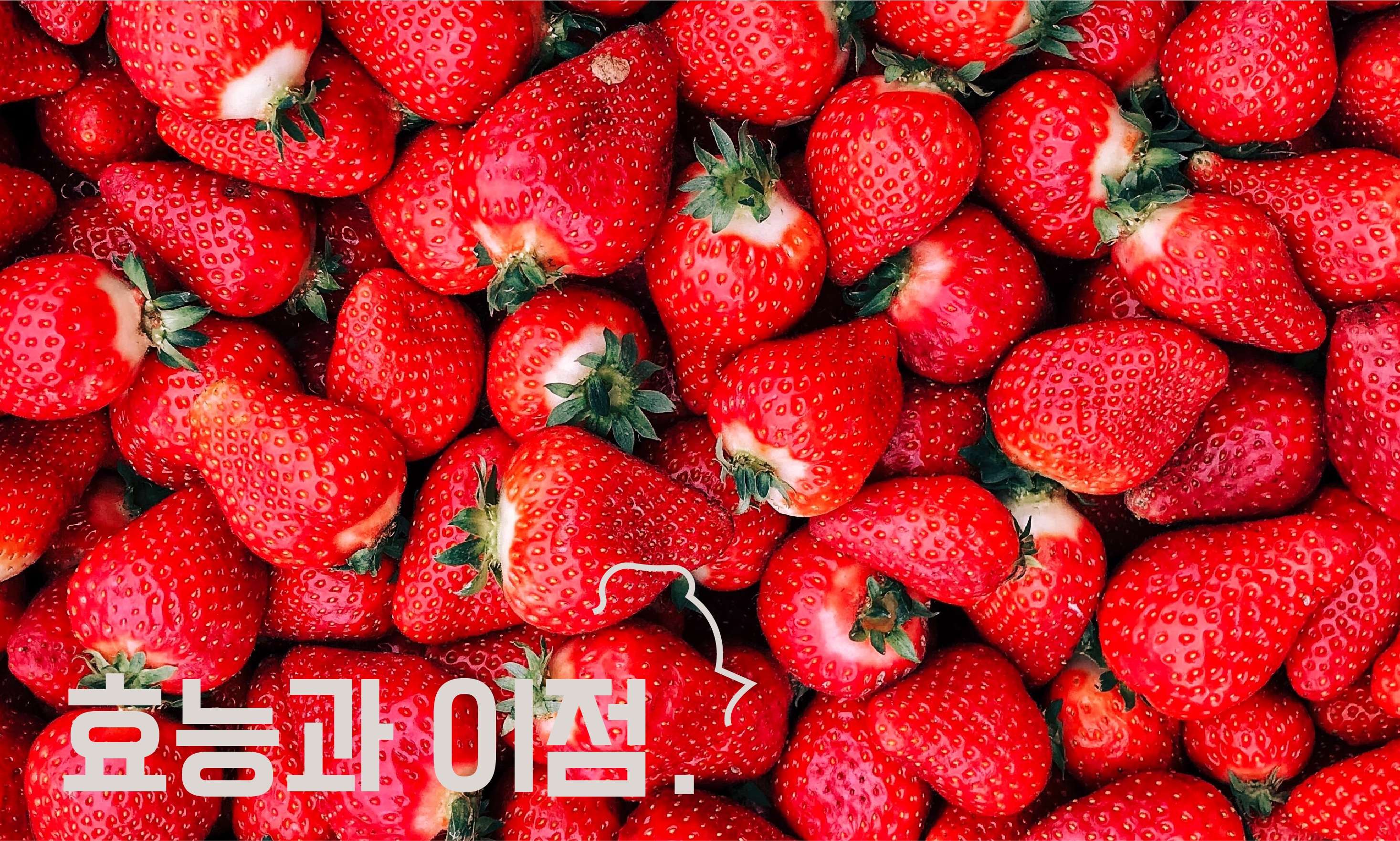 강아지-딸기