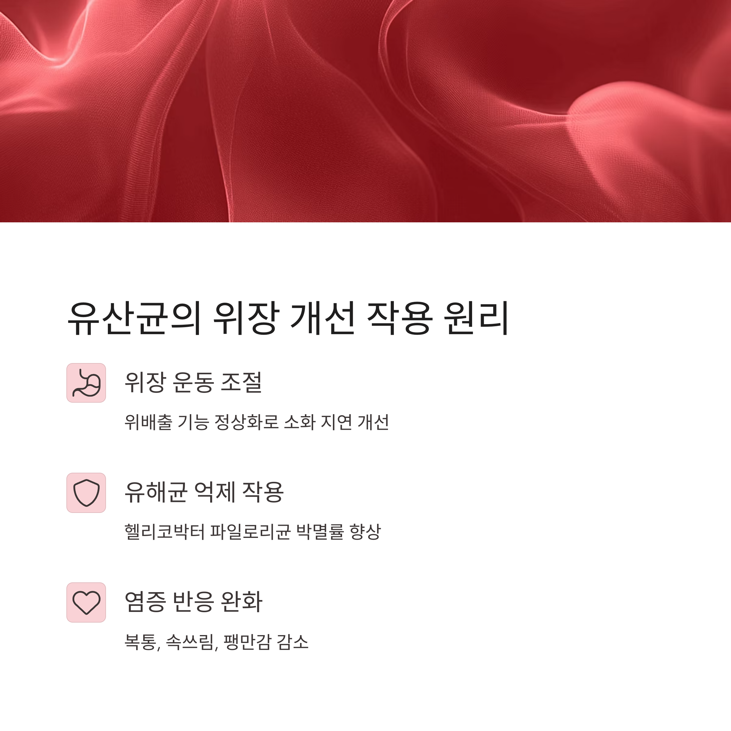 유산균의 위장 개선 작용 원리