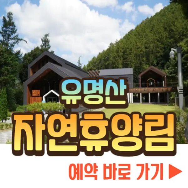유명산 자연휴양림 예약