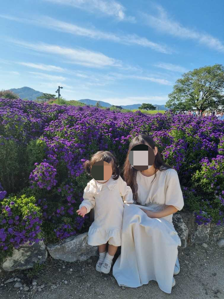 첨성대 핑크뮬리