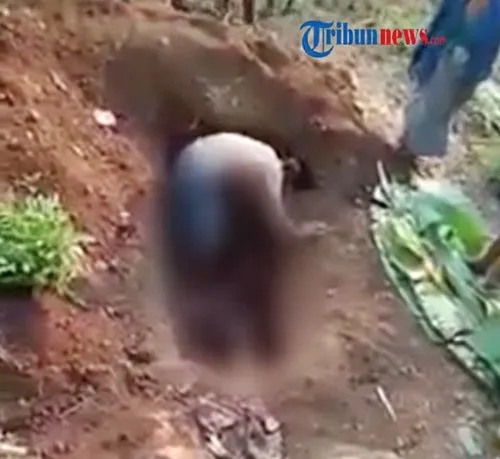 꿈에 돌아가신 어머니가 보이는 의미 정리_2