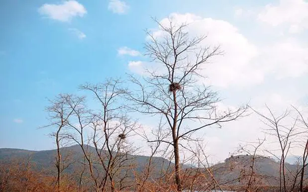 장성댐