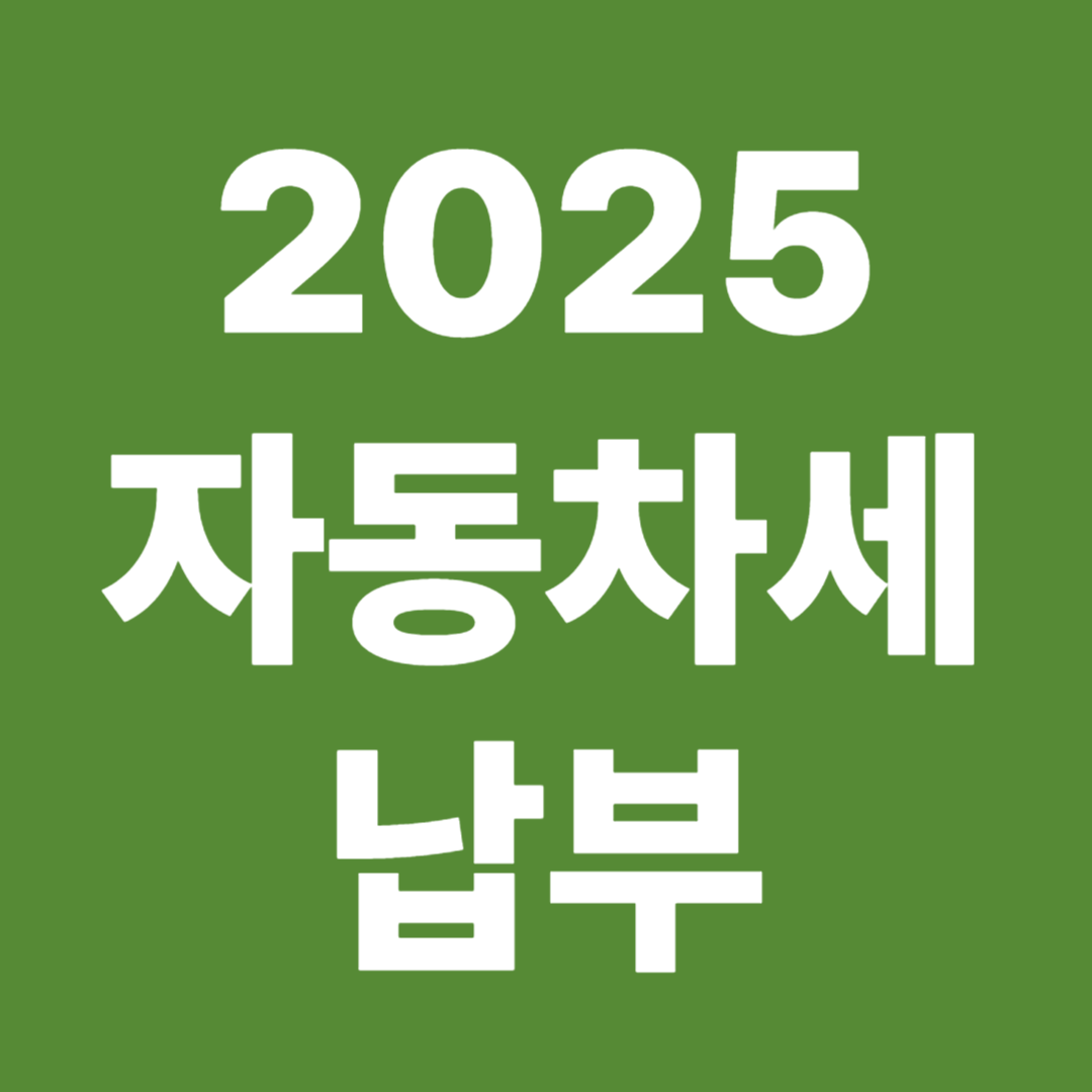 2025 자동차세 납부 연납 할인 납부기한 조회