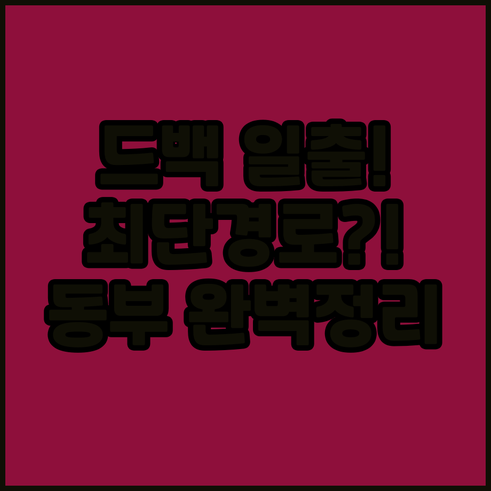 홍콩섬 동부 호텔 숙소에서 드래곤즈 ..