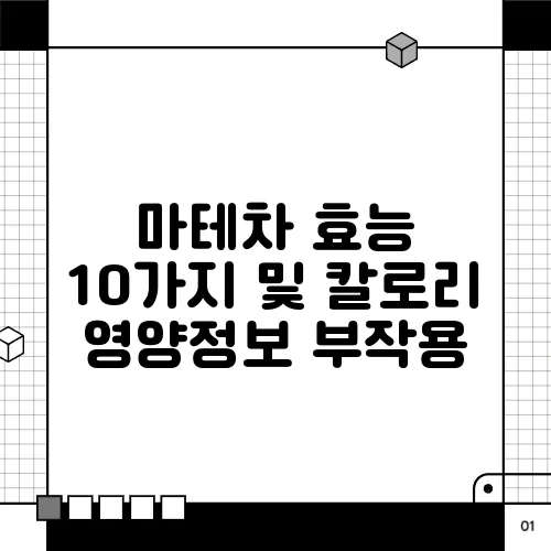 마테차 효능 10가지 및 칼로리 영양정보 부작용