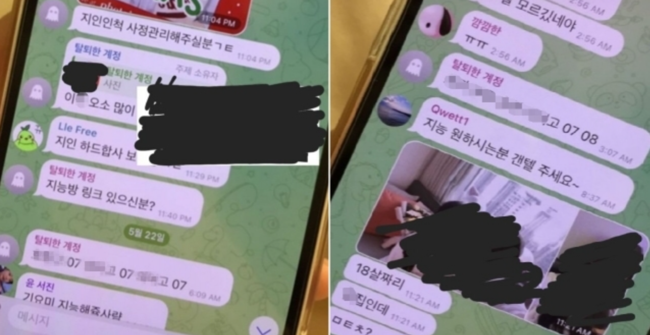 탤레그램 지능방