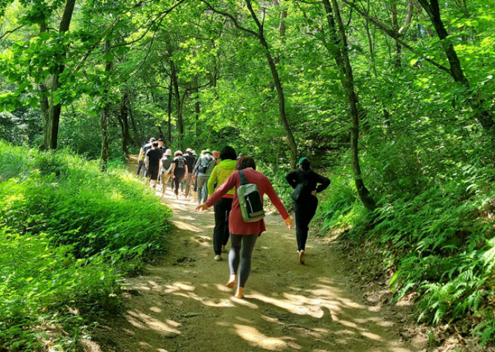 운곡솔바람숲길
