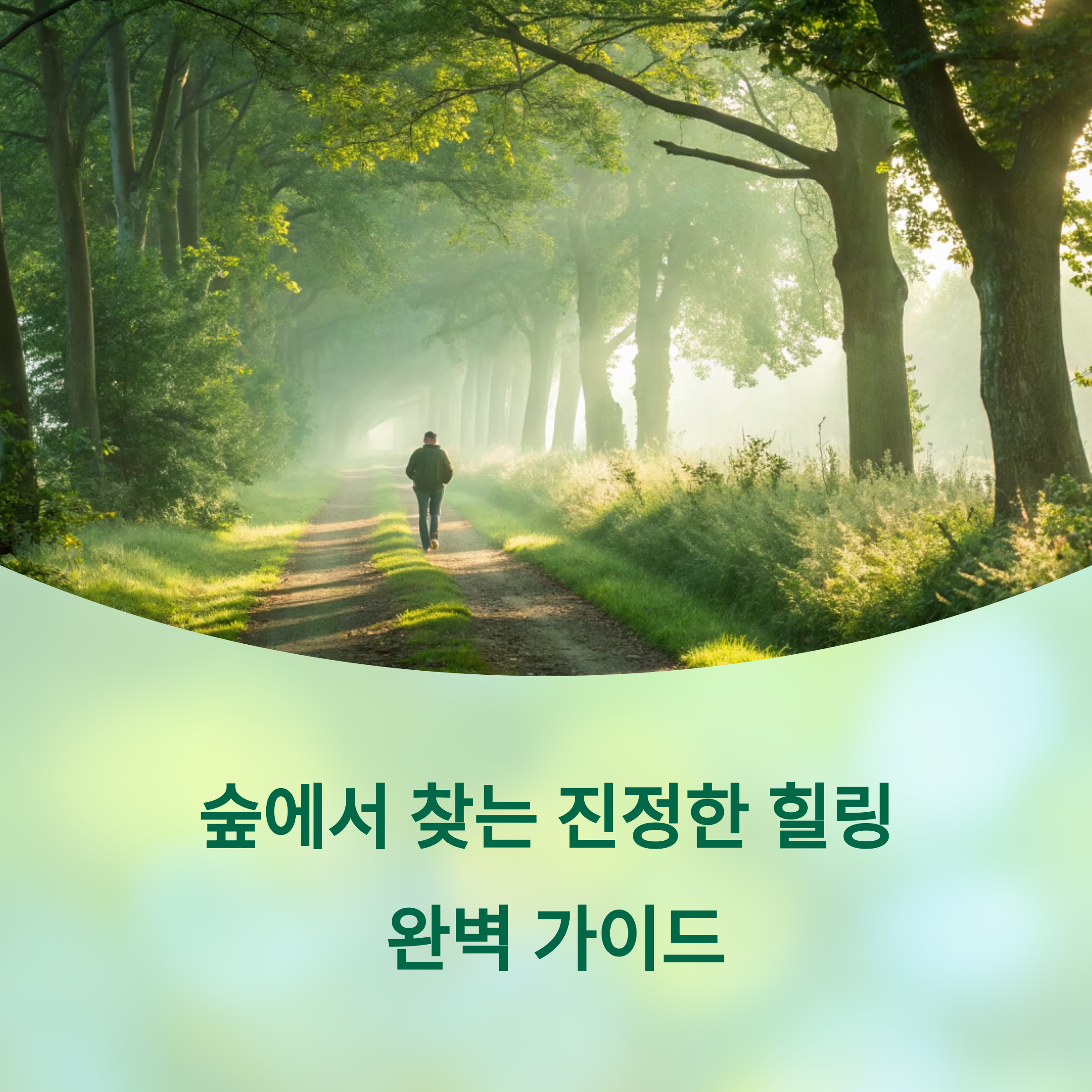 자연 속에서 힐링하기 좋은 계절, 숲나들이 완벽 가이드