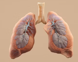 역류성 식도염 진단 기준 합병증 관리
