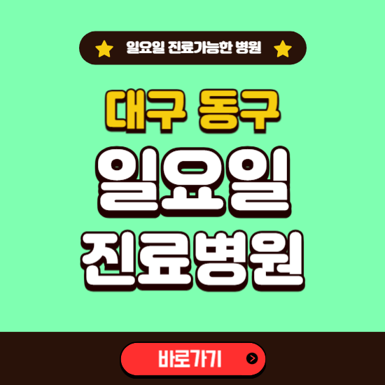 대구 동구 일요일 진료 가능한 병원 ❘ 주말 문여는 곳 총정리 (소아과, 내과, 안과, 치과, 피부과, 정형외과, 산부인과)